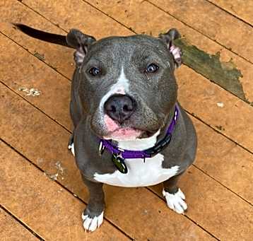 Photo of Kaiya