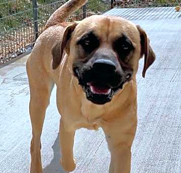 Photo of Slinky