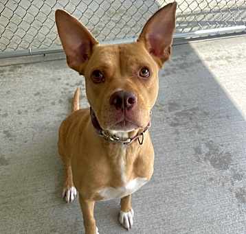 Photo of Lucy