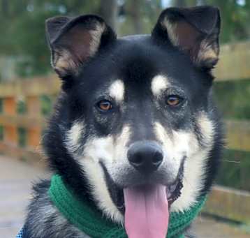 Photo of Bagel