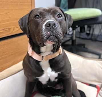 Photo of Addy