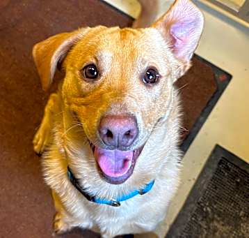 Photo of Mr.Floyd