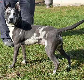 Photo of Nyla