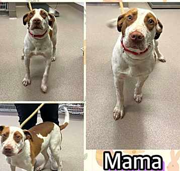 Photo of MAMA