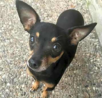 Photo of Spike