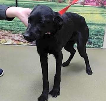 Photo of A542089