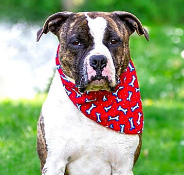 Photo of Sammy