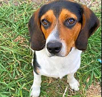 Photo of Bagel