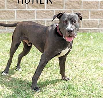 Photo of Asher