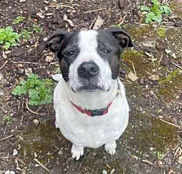 Photo of Thor