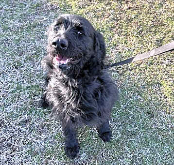Photo of Milo