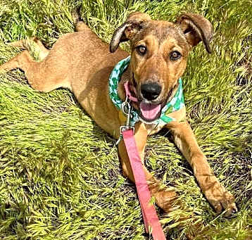 Photo of Silly Sally