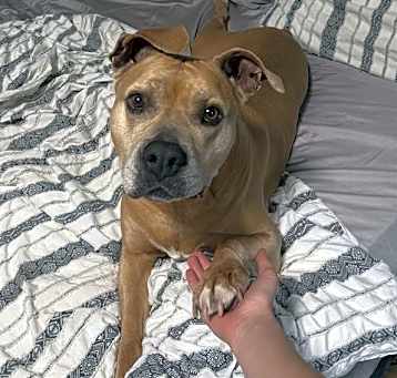 Photo of BELLA