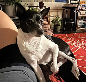 Photo of Noah