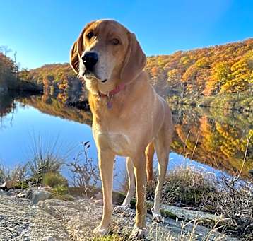 Photo of Maya
