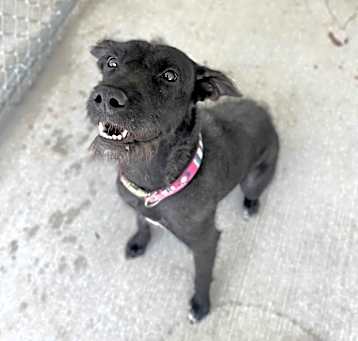 Photo of Lily