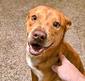 Photo of Buddy