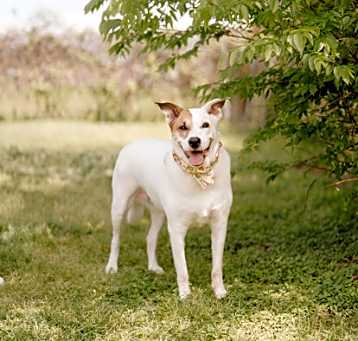 Photo of Phoebe