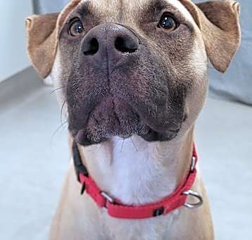 Photo of Juneau