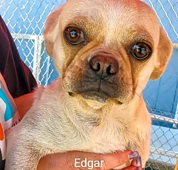 Photo of Edgar