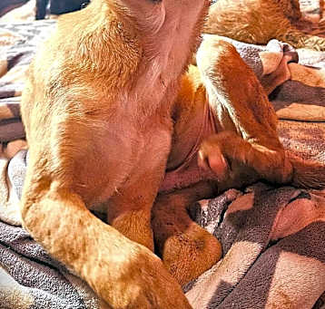Photo of BUSTER