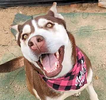 Photo of MAYA