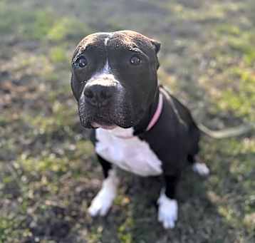 Photo of Lucy