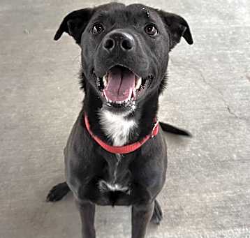 Photo of Nyla