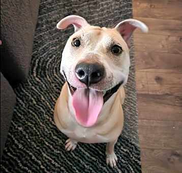 Photo of Dante