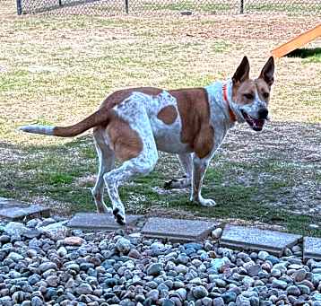 Photo of Hazel