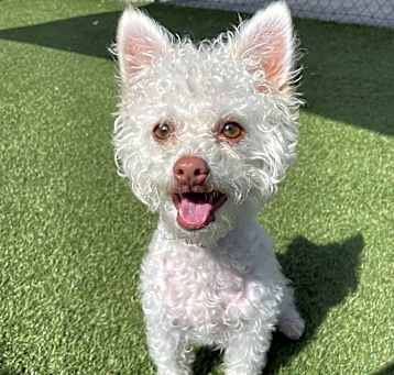 Photo of Bobby