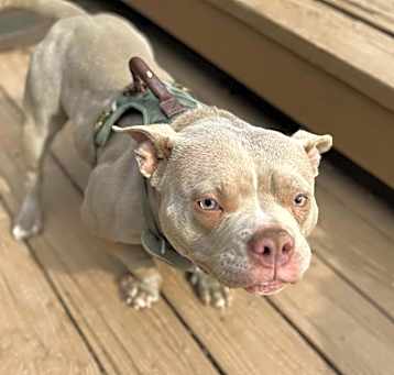 Photo of Thea