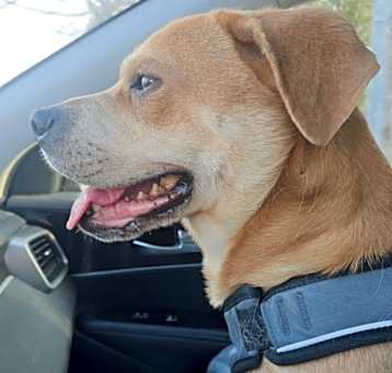 Photo of Charlie