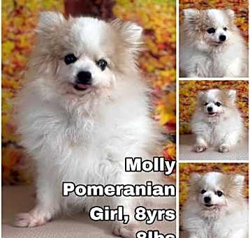 Photo of Molly from Korea