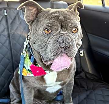 Photo of Monty