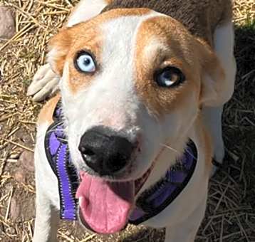 Photo of Luna Baloona