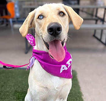Photo of Nilla