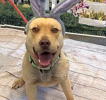 Photo of Hercules