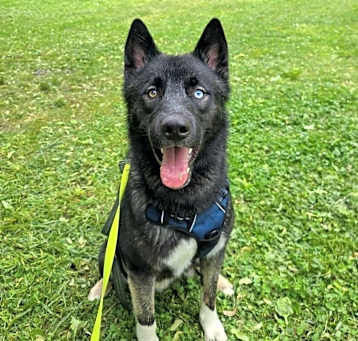 Photo of Azul