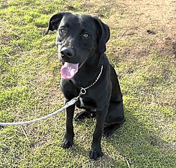 Photo of Sammy