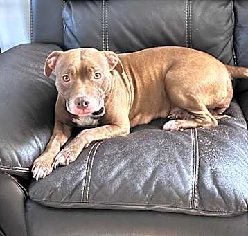 Photo of Bella