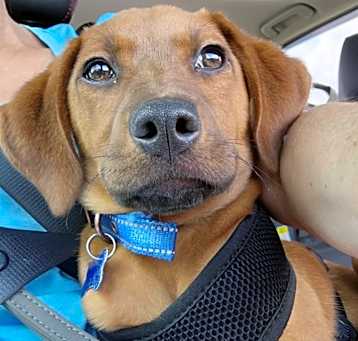 Photo of Judge