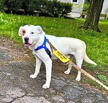 Photo of Locke