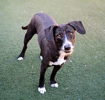 Photo of Jupiter *Sponsored, bonded wit