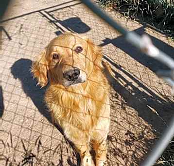 Photo of BOBO