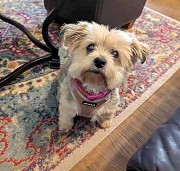 Photo of Mollie I (New Digs)