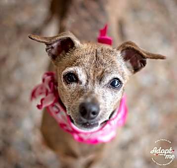 Photo of Ruby