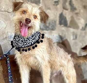 Photo of Fredy