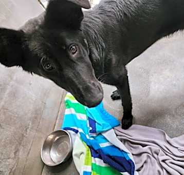 Photo of Luna