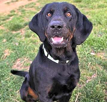 Photo of Alfred